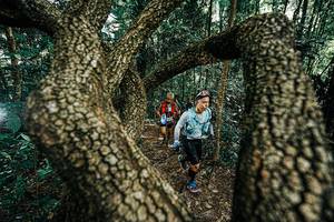 BIB: 
                            <button type="button" onclick="openModal(25392625)" class="btn btn-primary btn-sm float-right btn-popup" data-toggle="modal" data-target=".modal-high-quality">
                        <i class="fas fa-shopping-cart"></i> Add to Cart
                    </button>
                                            <button type="button" onclick="isThisMe(25392625, true)" class="btn btn-success btn-sm float-right btn-popup btn-isme hidden" data-toggle="tooltip" data-placement="bottom" title="นี่คือรูปของคุณใช่ไหม คลิกที่นี่เพื่อเอาเข้าอัลบั้ม">
                        <i class="fas fa-plus"></i> Add to album
                    </button>
                    <button type="button" onclick="isThisMe(25392625, false)" class="btn btn-warning btn-sm float-right btn-popup btn-isnotme hidden">
                        <i class="fas fa-ban"></i> Remove from album
                    </button>